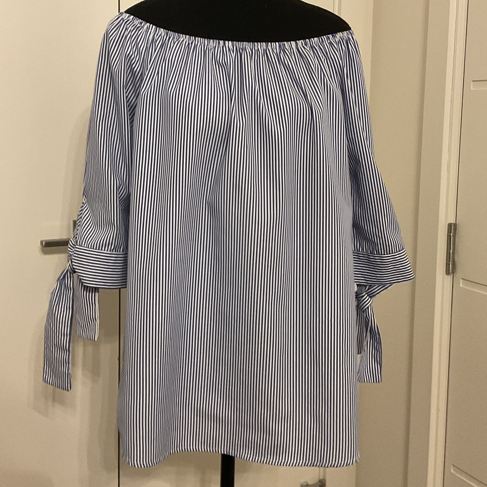 Stem & Vine Chic Blue Striped Off-Shoulder Blouse